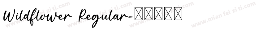 Wildflower Regular字体转换